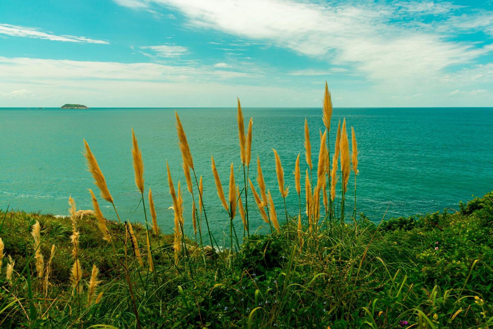 Apto Com Jeito De Casa Entre O Mar E A Montanha Florianopolis